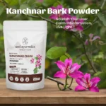 1 Kanchnar Bark Powder Mockup