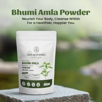2 bhumi amla powder