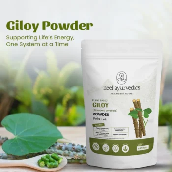2 giloy powder