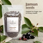Neel Ayurvedics Jamun Seeds