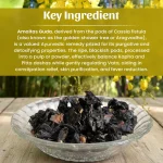Amaltas Guda Whole Herbs Mockup