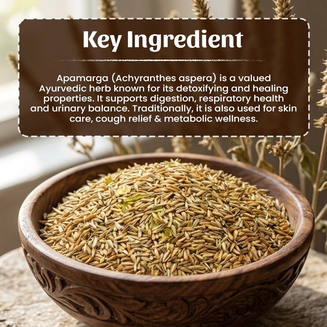 4 Apamarga Seeds Ingradient