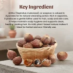 Aritha Whole Herbs Mockup