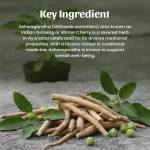 Arjun Chhal Whole Herb Mockup