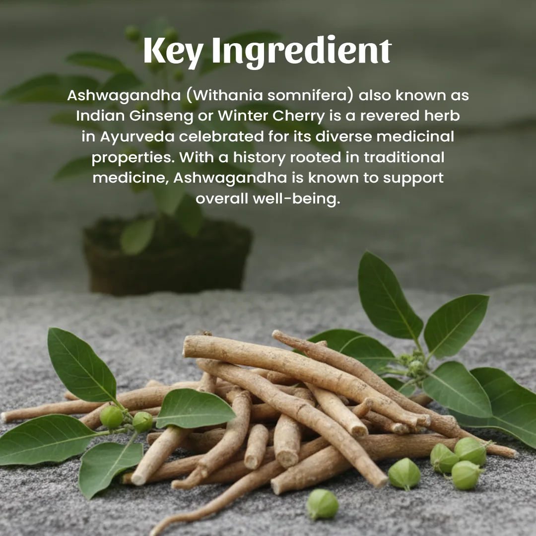 4 Ashwagandha Ingredieant