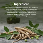 Ashwagandha Whole Herbs Mockup