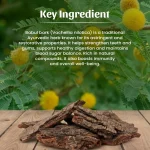 Babul Chhal Whole Herb Mockup