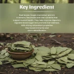 Bael Patta Whole Herbs Mockup