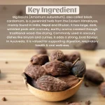 Big Elaichi Whole Herbs Mockup Png