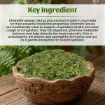 Chanothi Pan Whole Herbs Mockup