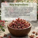 Neel Ayurvedics Dhavadi Phool Powder (1)