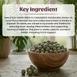 Kakachiya Whole Herbs Mockup