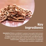 1 Manjistha Powder Mockup