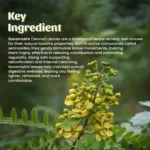 1 Sonamukhi Powder Mockup