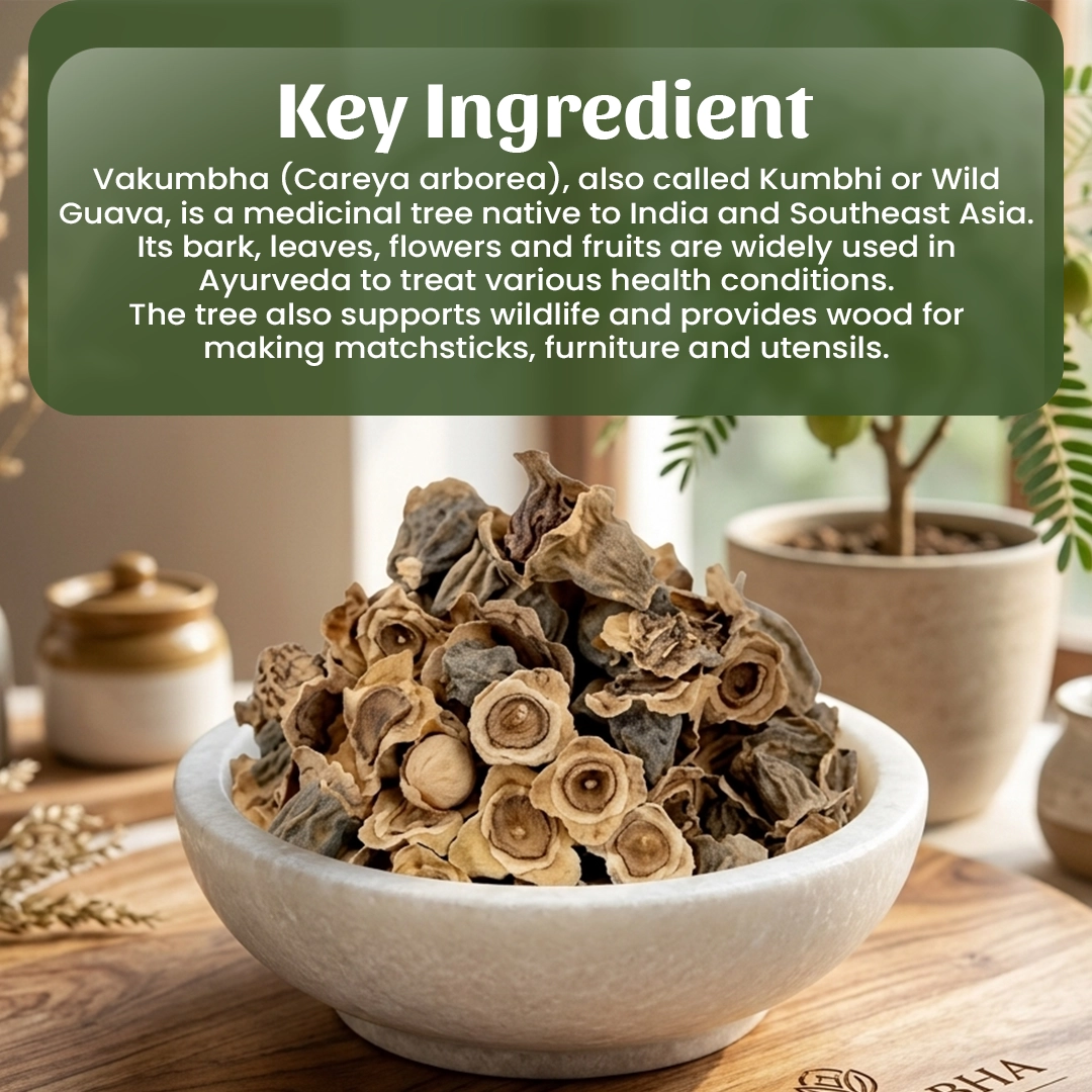 4 Vakumbha Powder Ingredient