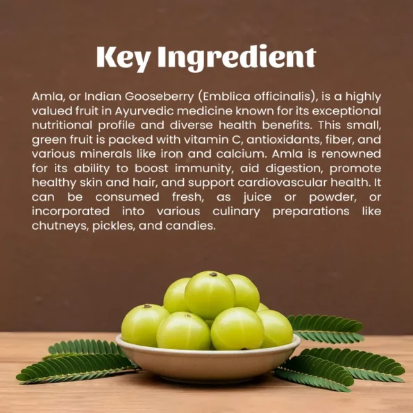 4 amla powder ingredients