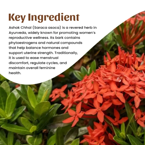 4 ashok chhal powder ingredient