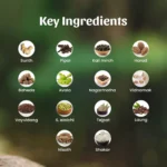 1 avipattikar powder mockup