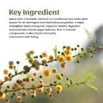 1 babul bark powder mockup