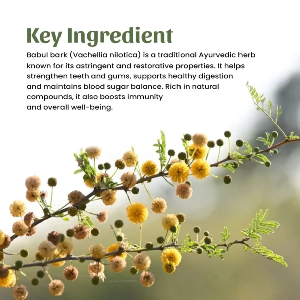 4 babul bark powder ingredient