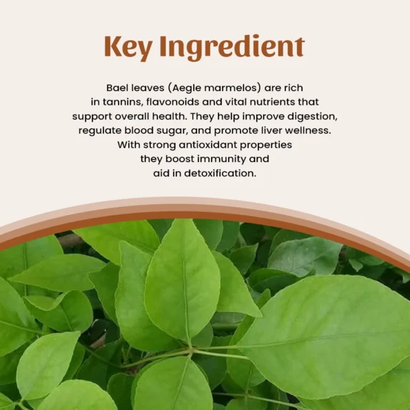 4 bael leaves powder ingredient