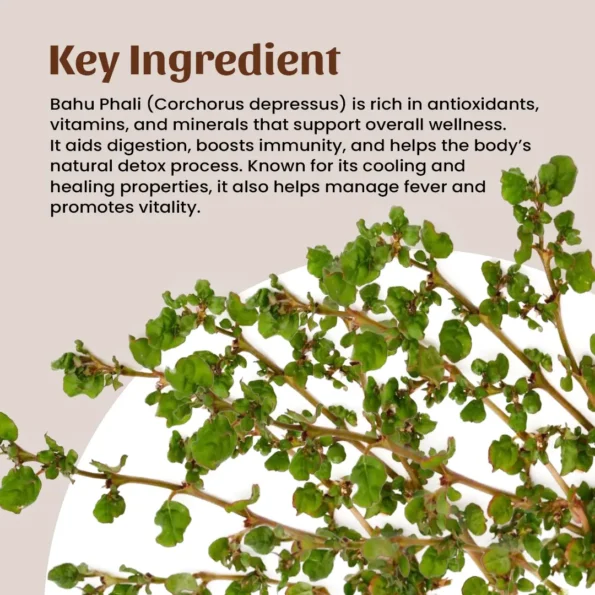 4 bahu phali powder ingredient