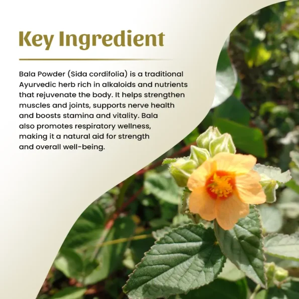 4 bala powder ingredient