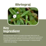 1 bhringraj powder mockup