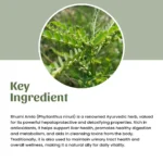 1 bhumi amla powder mockup