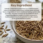 Neel Ayurvedics Indrajavd Kadwa Whole Herb