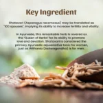 1 shatavari powder mockup