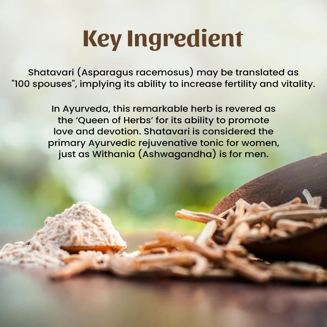 4 shatavari powder ingredient 4 shatavari powder ingredient