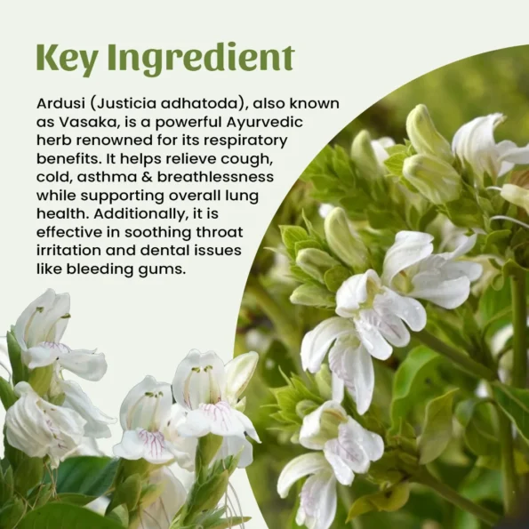 4 vardusi powder ingredient