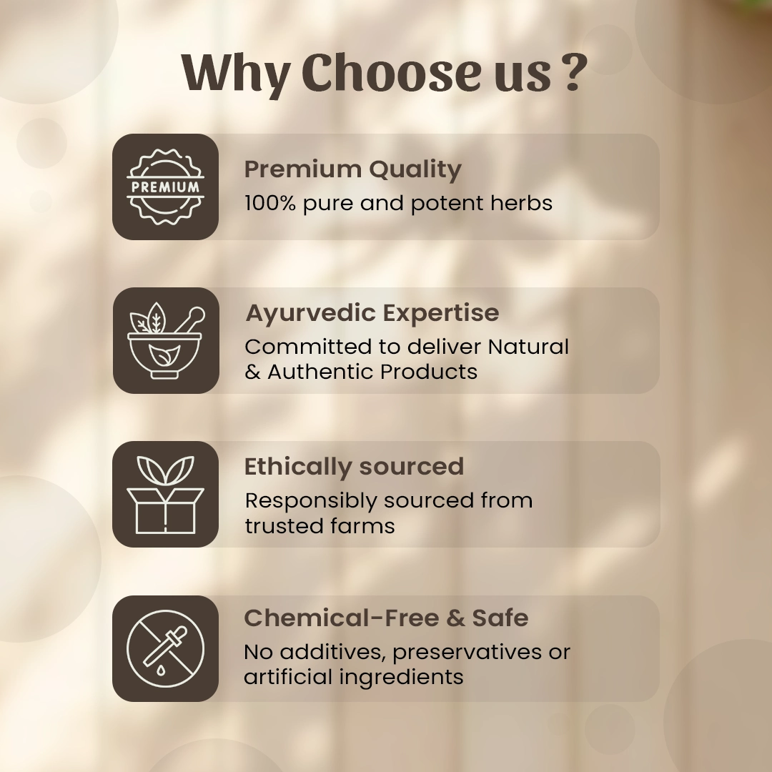 5 Big Elaichi Why Choose us