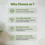 Chanothi Pan Whole Herbs Mockup