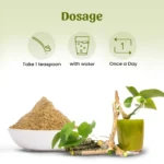 1 giloy powder mockup