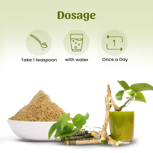 5 giloy powder dosage