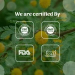 Babul Chhal Whole Herb Mockup