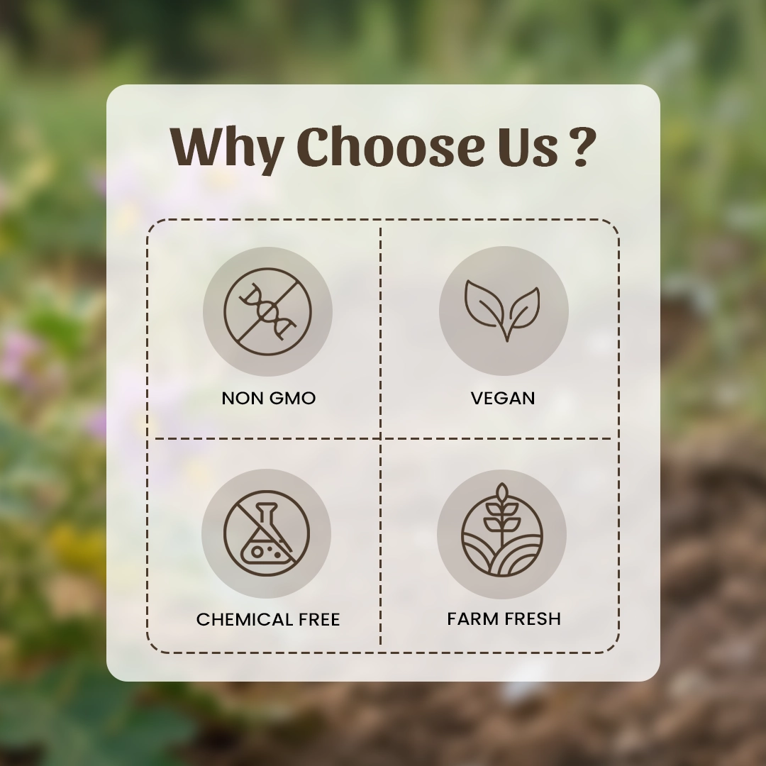 6 Bhoringni Panchang Powder Why Choose Us