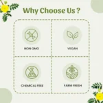 1 Gokhru Powder Mockup