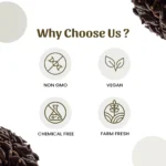 1 Himej Powder Mockup