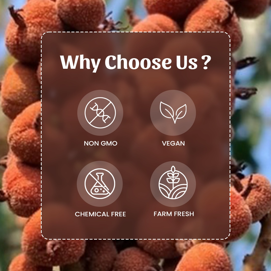 6 Kapilo Powder Why Choose Us