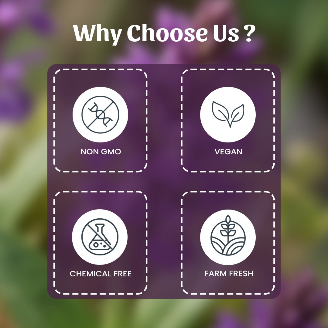 6 Salam Panja Why Choose Us
