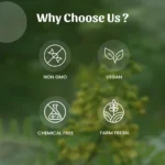 1 Sonamukhi Powder Mockup