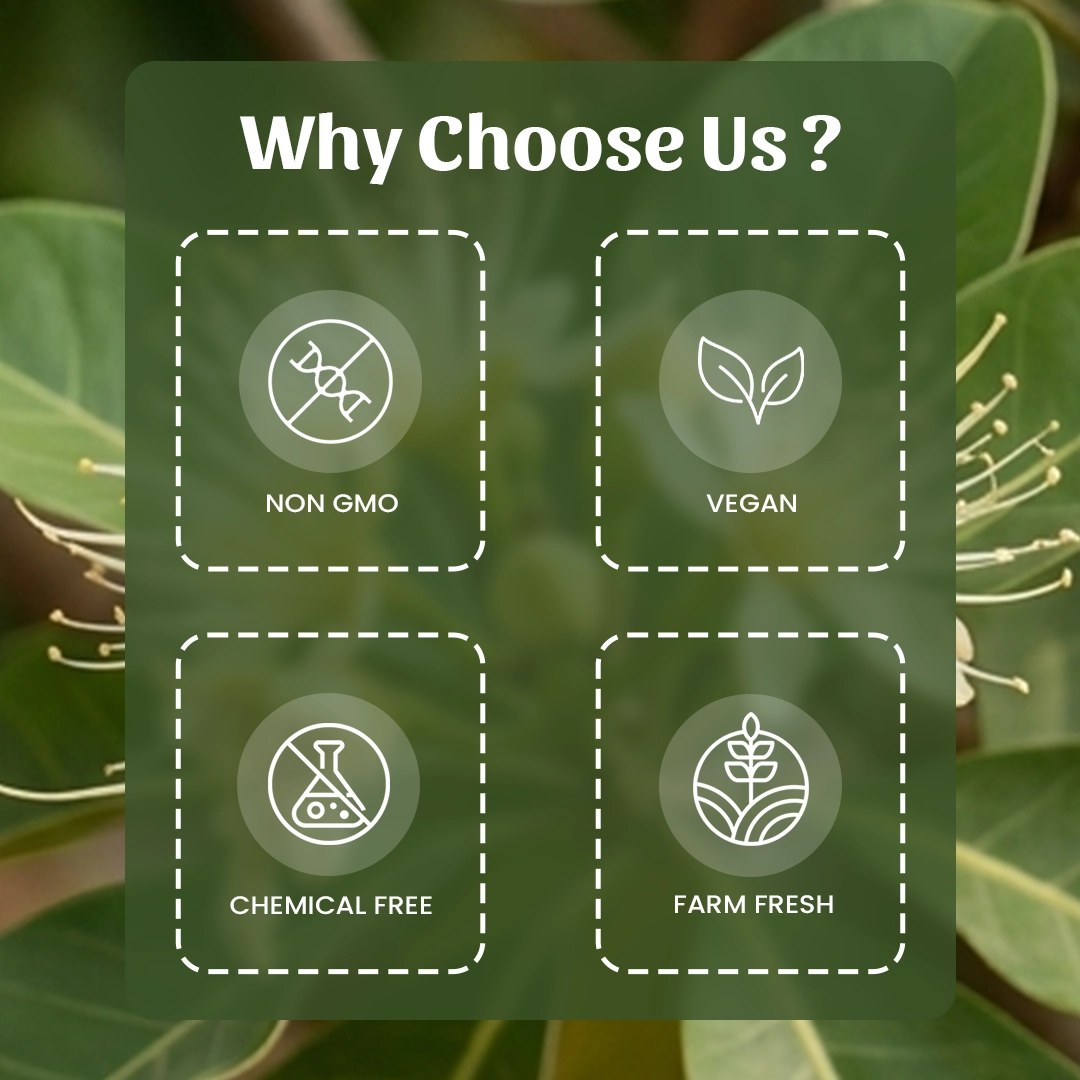 6 Vakumbha Why Choose Us