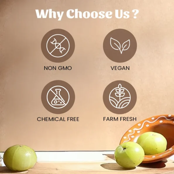 6 amla powder why choose us
