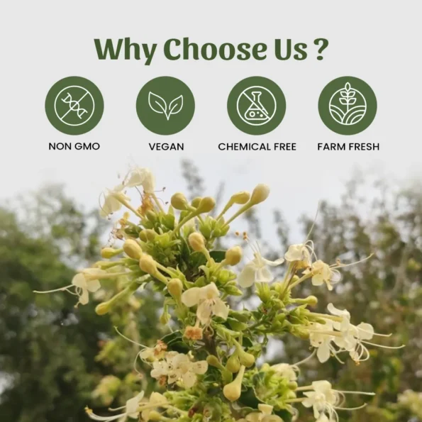 6 arni powder why choose us