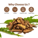 1 ashok chhal powder mockup