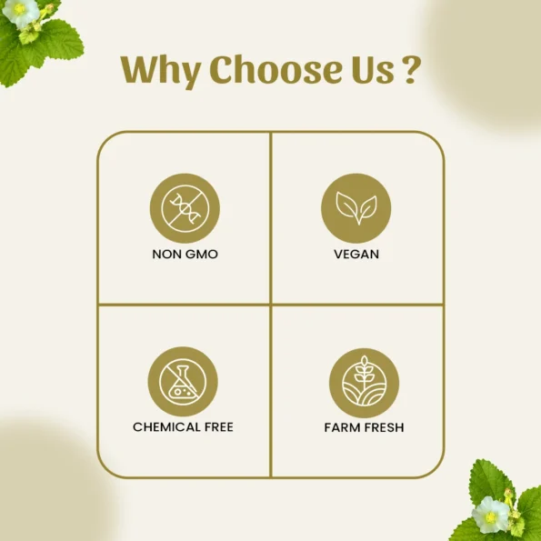 6 bala powder why choose us