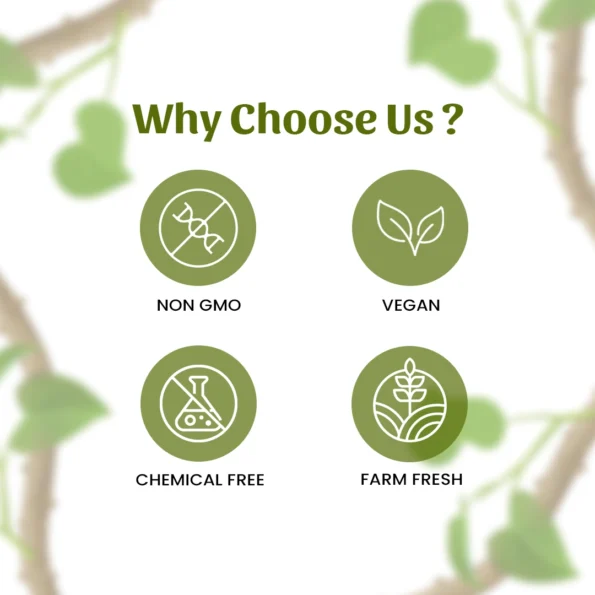 6 giloy powder why choose us